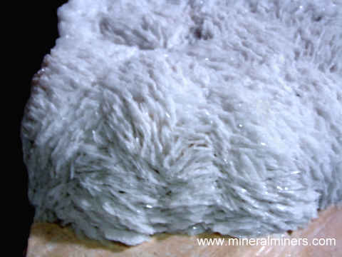 Albite Mineral Specimens link