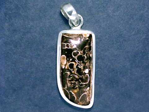 Fossil Pendants