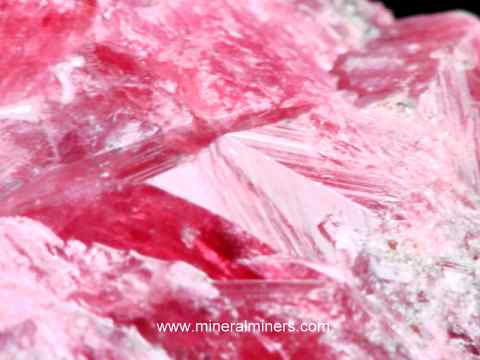 Rhodonite Crystal